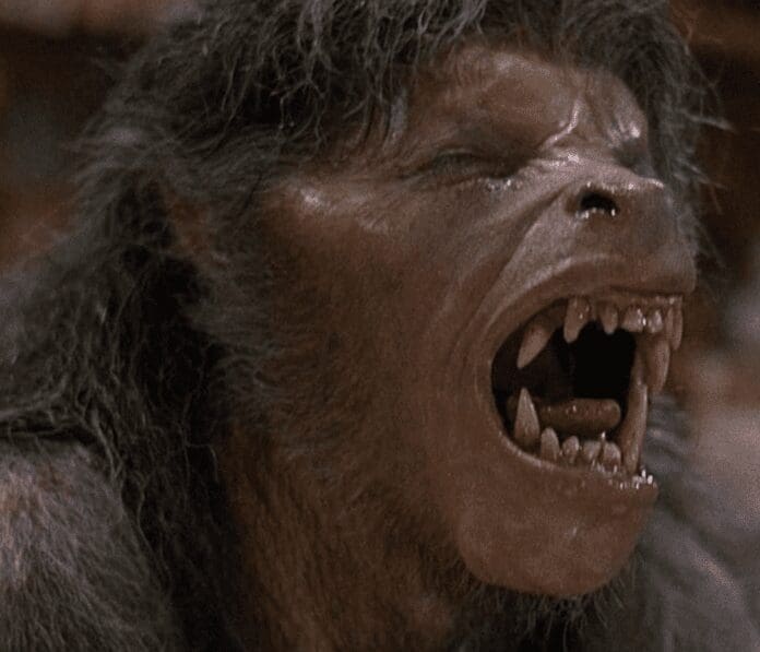 An American Werewolf in London Movie Character