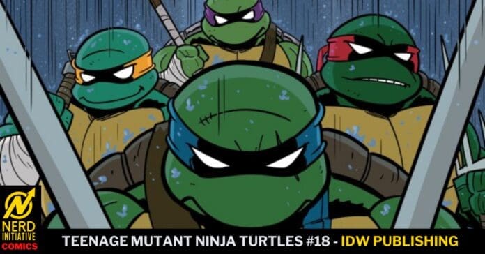 Five Ninja Turtles with swords drawn in a rainy scene; cover art for Teenage Mutant Ninja Turtles #18 by IDW Publishing
