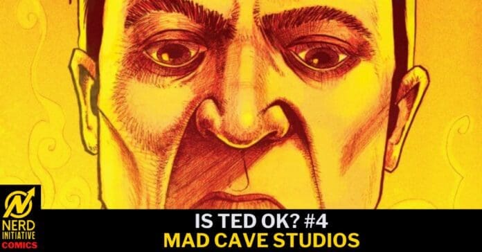 Poster-style illustration with a close-up of a surprised man's yellow-toned face, bottom banner reads 'IS TED OK? #4 MAD CAVE STUDIOS' and includes the Nerd Initiative Comics logo.