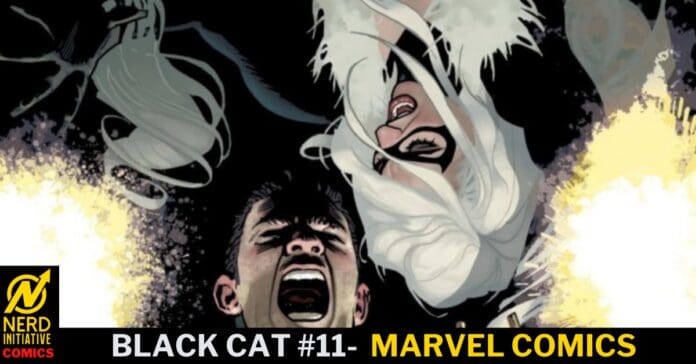 Black Cat 11 Back To Old Tricks black-cat-11-back-to-old-tricks