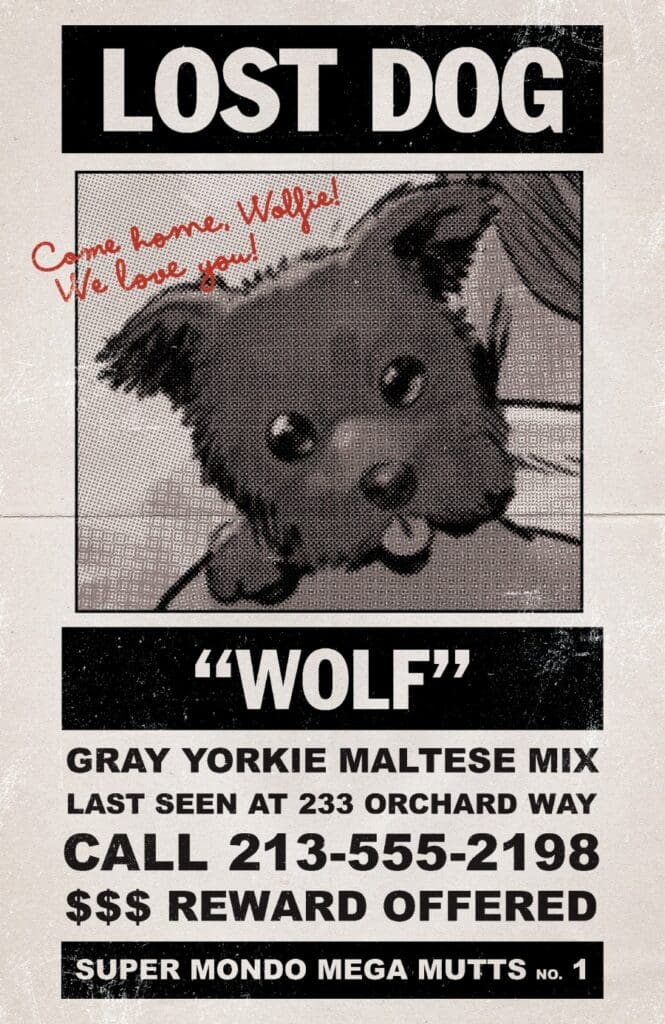 Poster for a lost gray Yorkie-Maltese mix dog named Wolf; call 213-555-2198; reward offered.